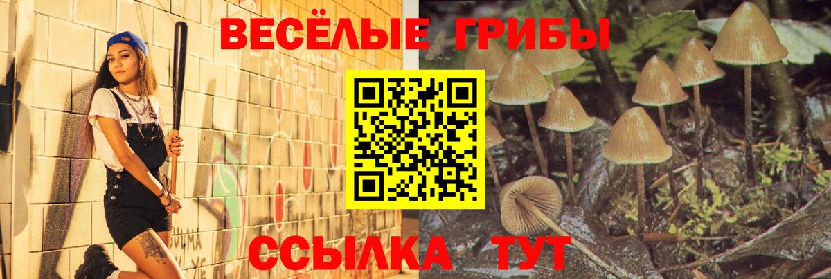 Псилоцибиновые грибы мухоморы  Псилоцибиновые грибы прущие грибы  Вход с VPN  Ухта 